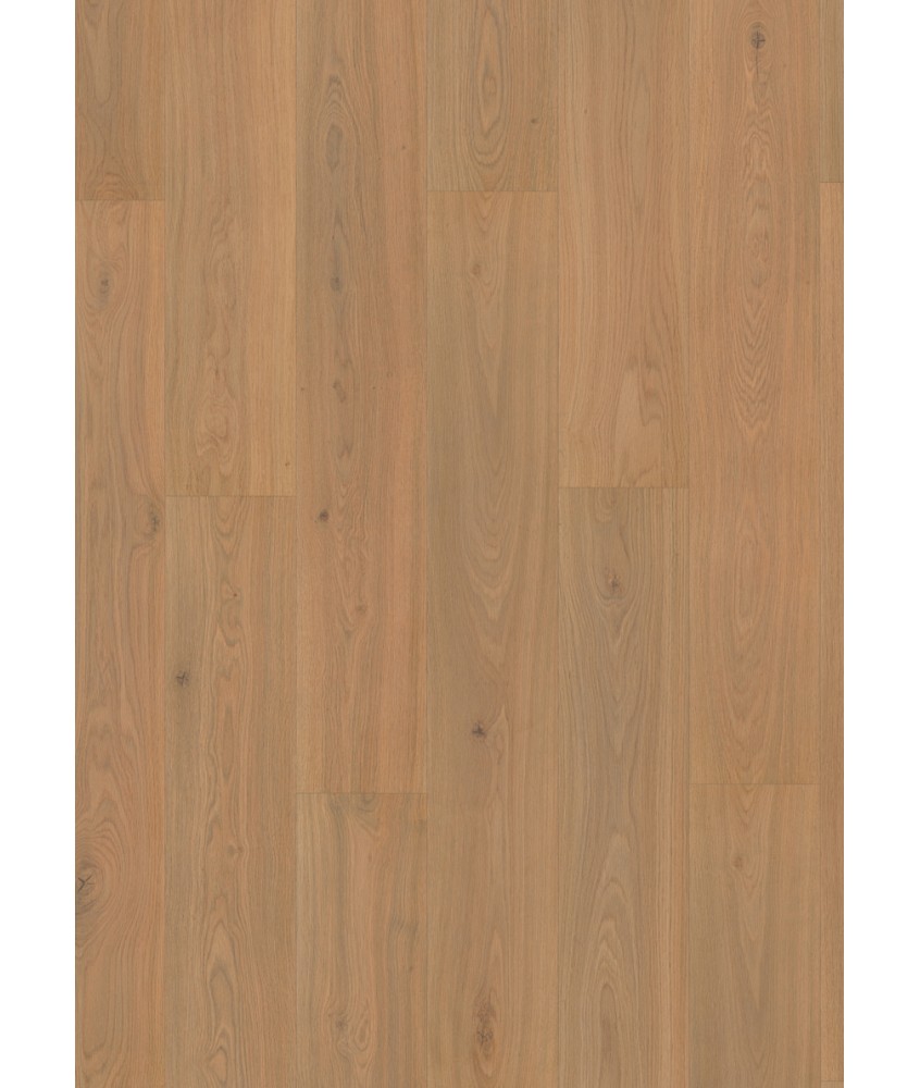 Roble Crescendo C-208 Finfloor Eco Original S/B