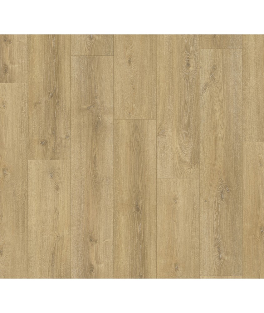 Roble Nova calizo estr. Laminado Trendtime 6 4V