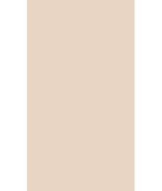 Melamina Beige Rosado U156 ST9