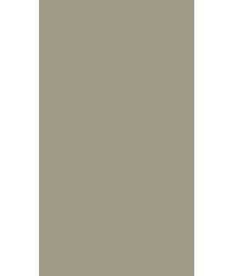 Melamina Gris Arcilla U727 ST9